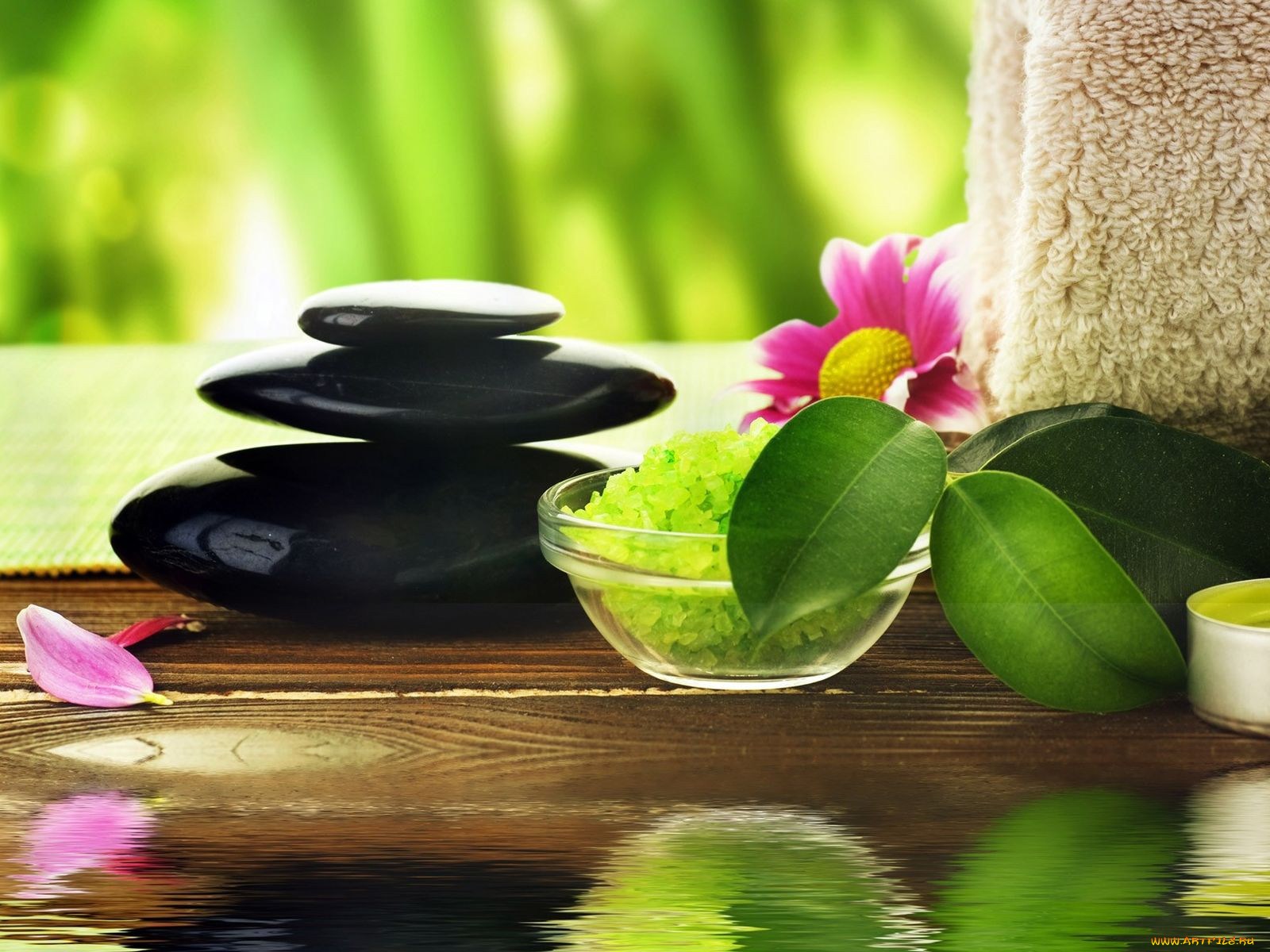 , , , , spa, 